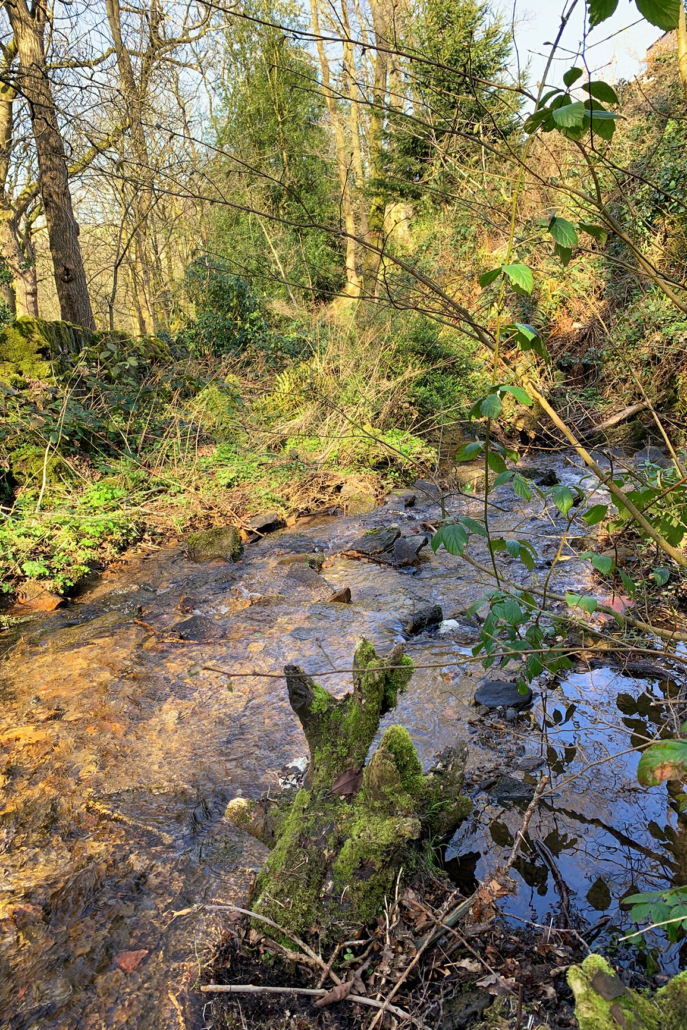 Close up of water flowing through Beck at the back of Dobb Lane